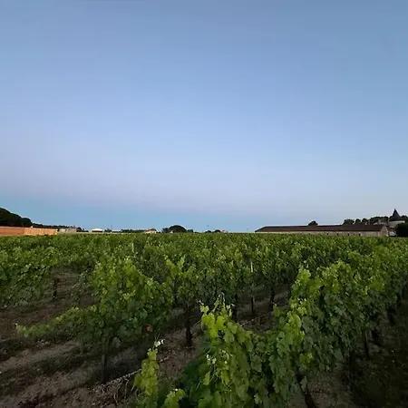 'calcaire' Vineyard Cabin At Chateau Puynard شقة Berson